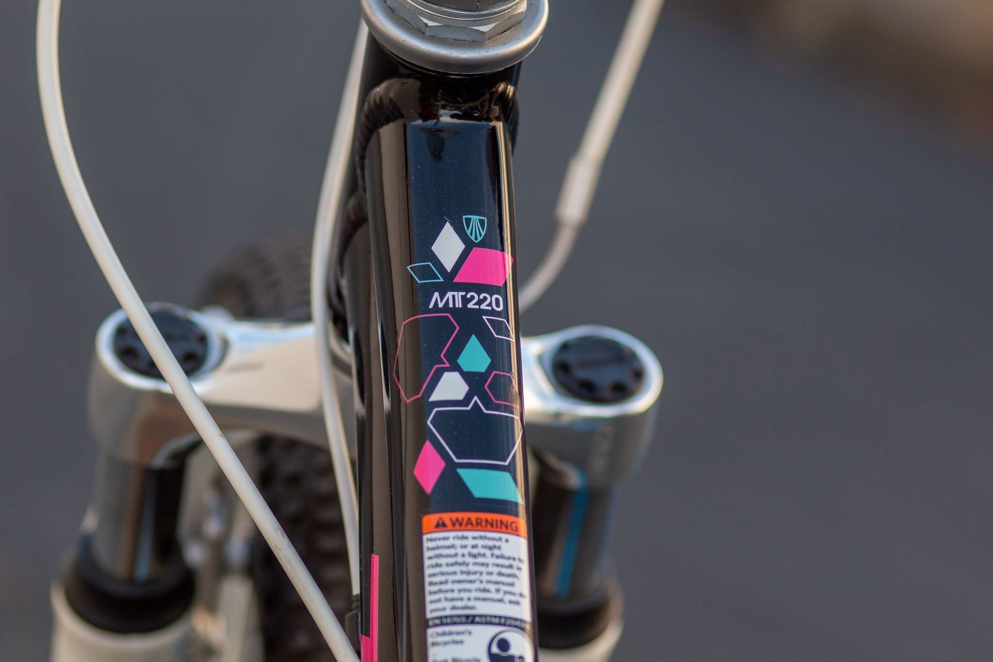 Trek mt220 sale girl price
