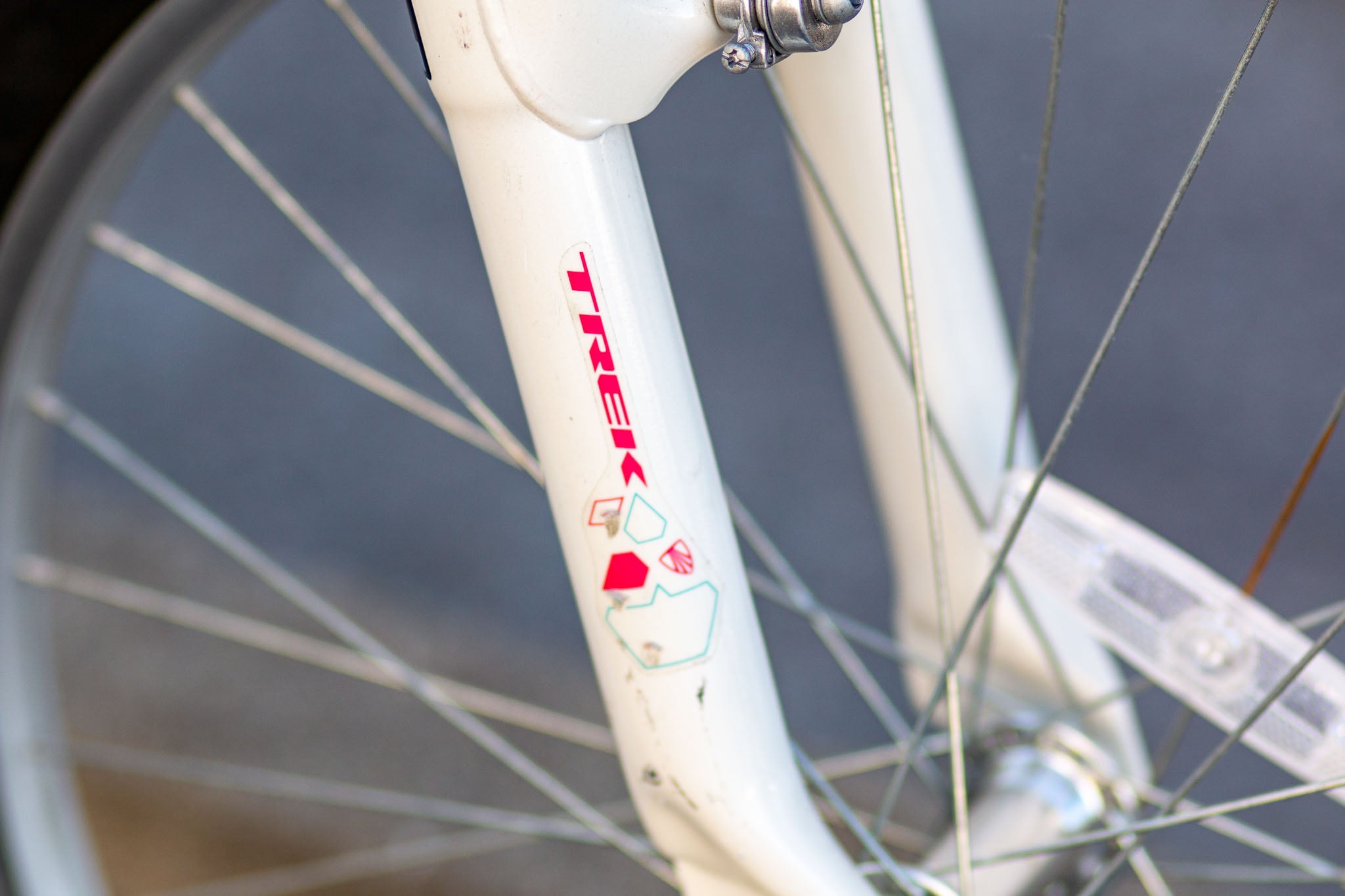 Trek mt220 girl price 2025