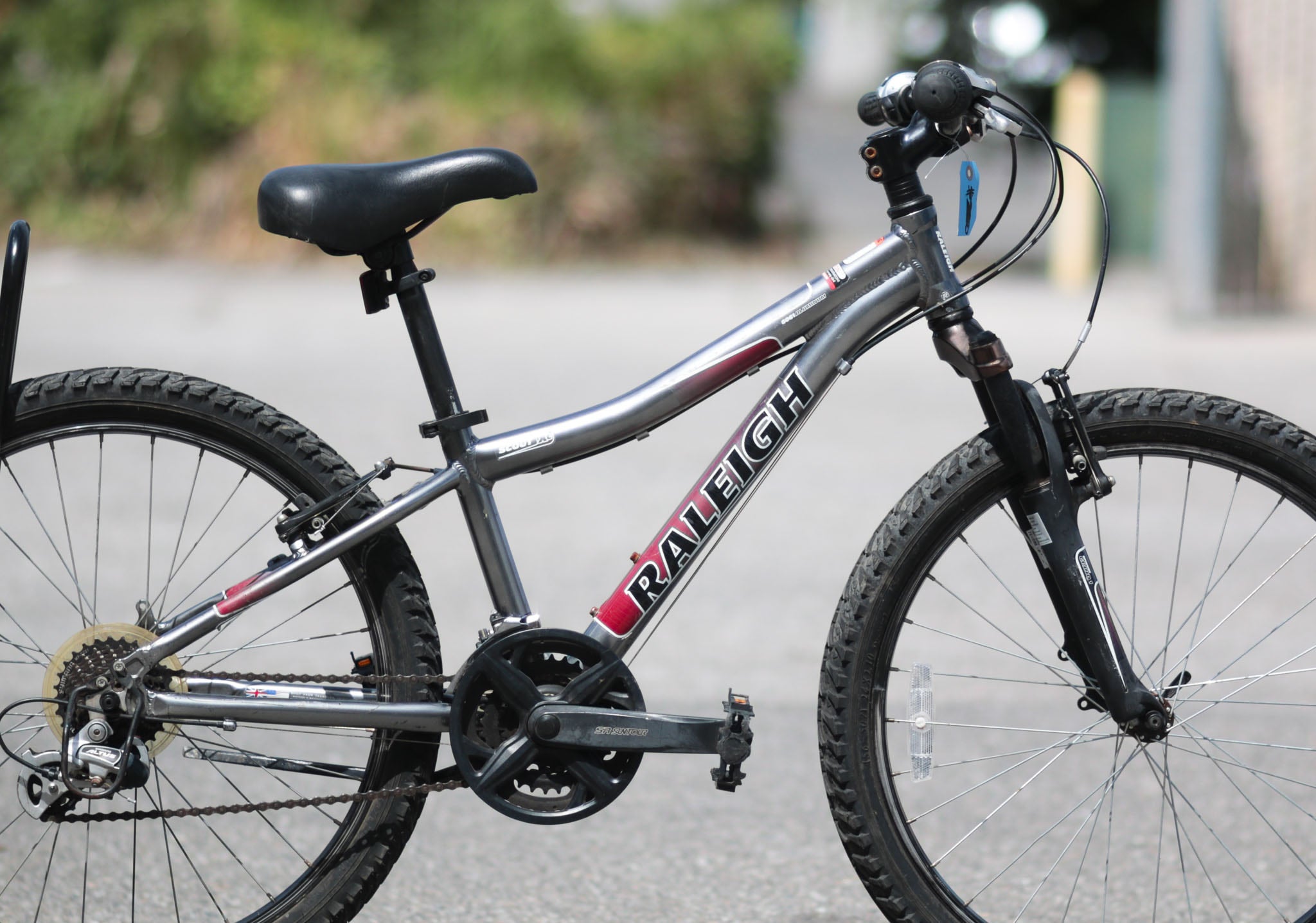 Raleigh mountain hot sale scout 24