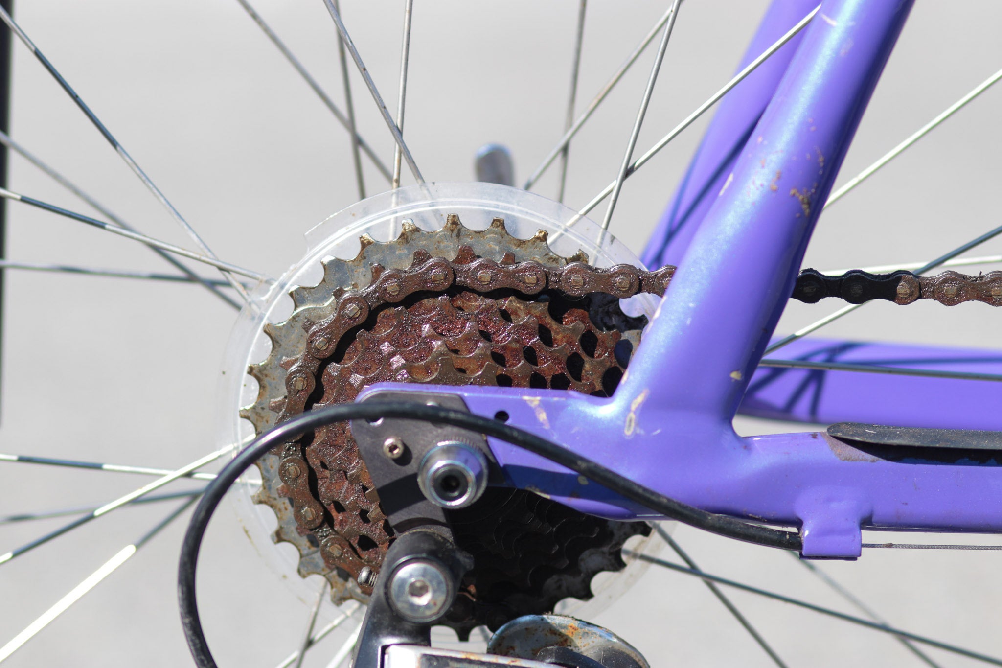 Cannondale m500 purple deals