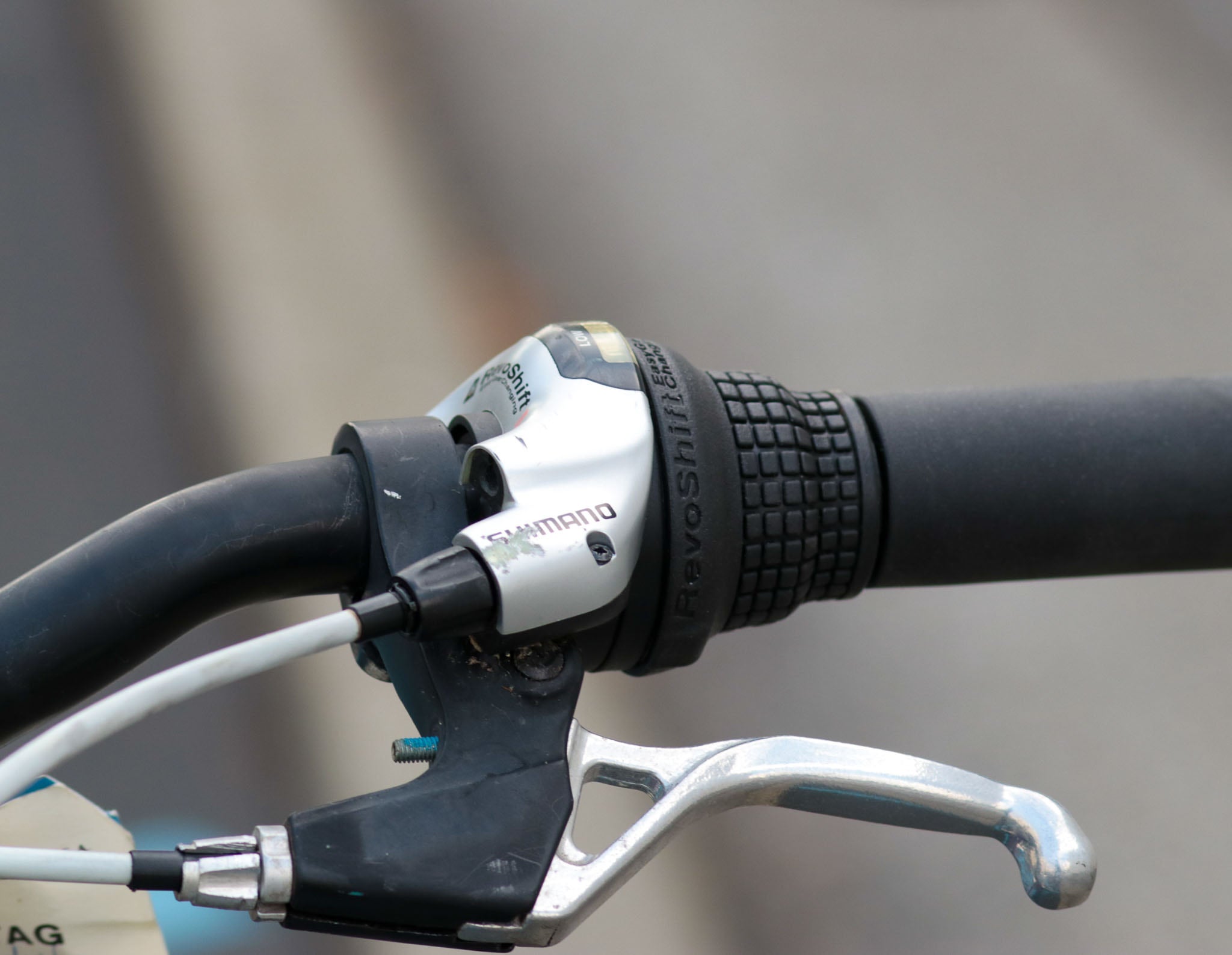 Raleigh ivy 24 sales