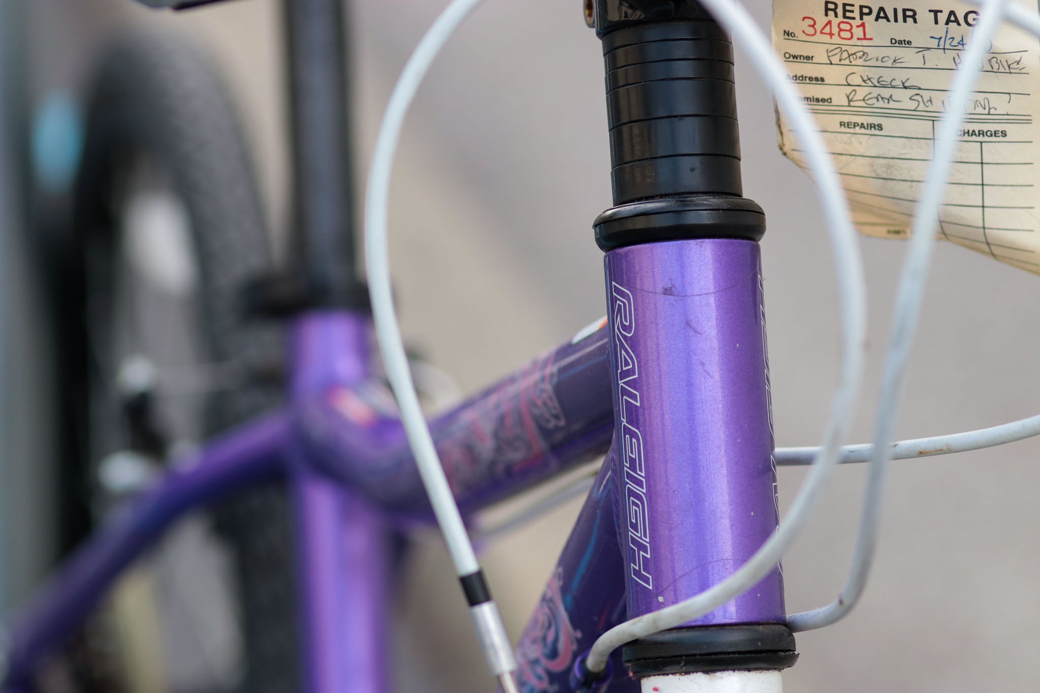 Raleigh new arrivals ivy 24