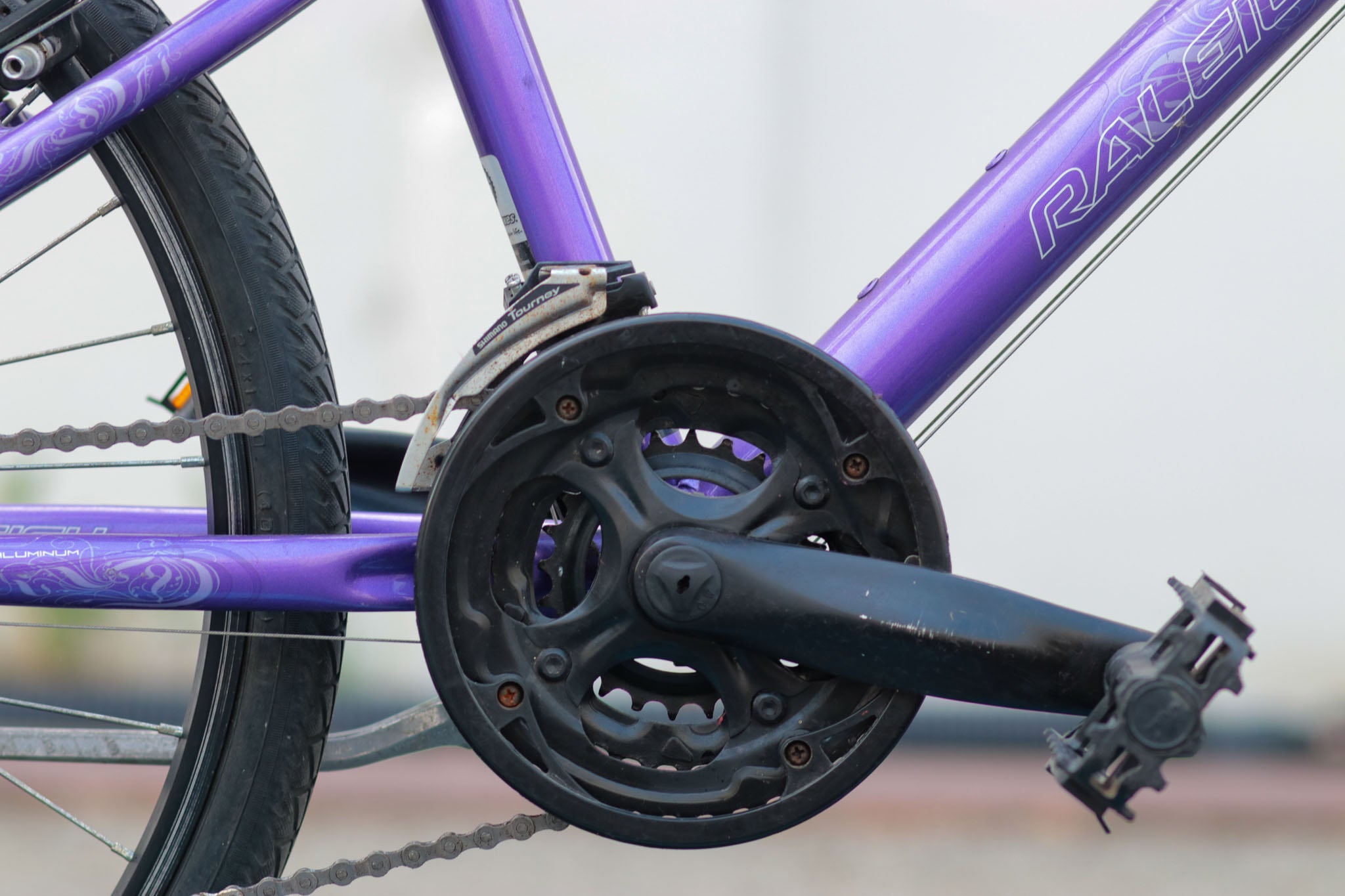 Raleigh sales ivy 24