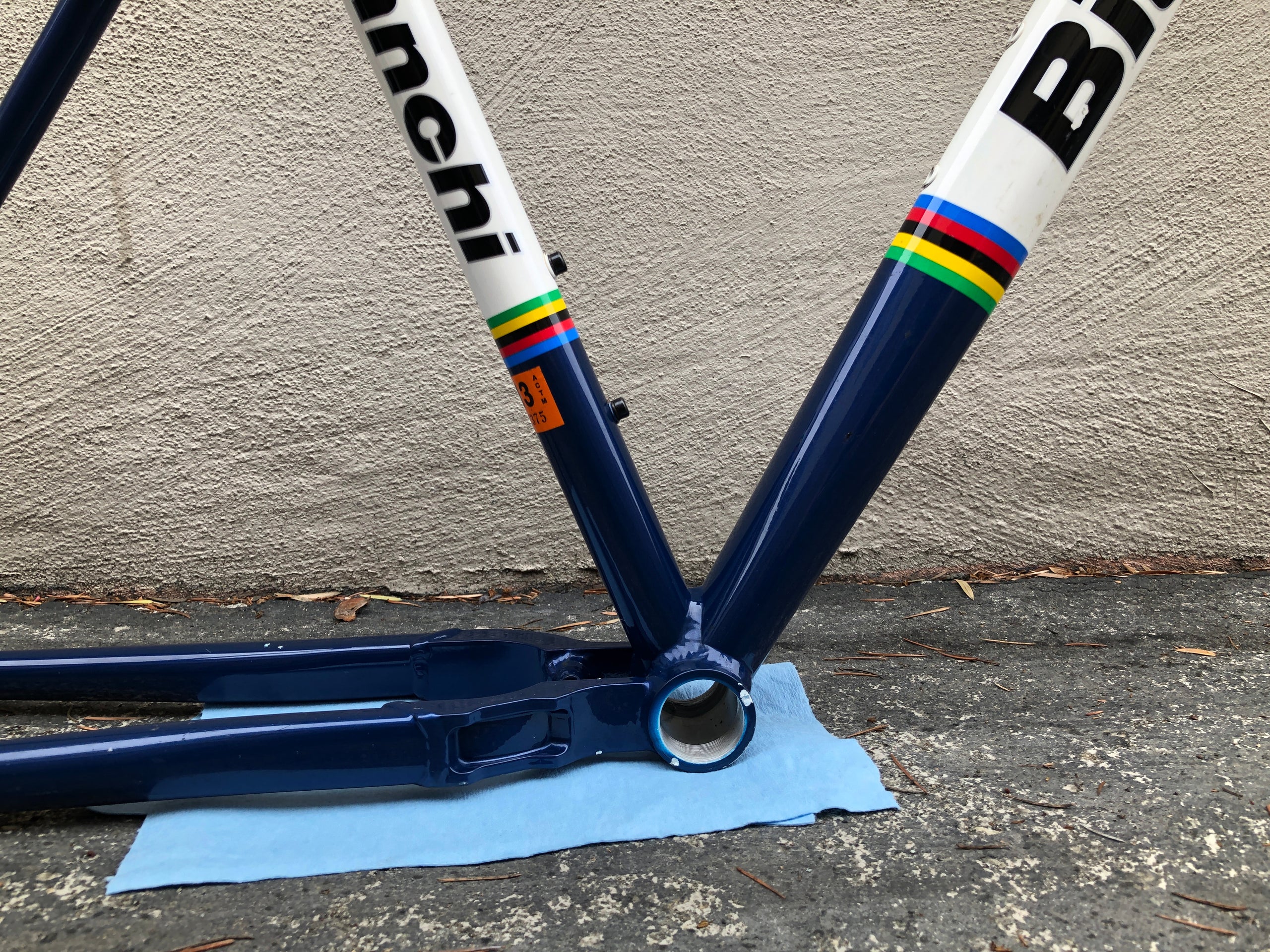 Bianchi sok 29er single speed outlet